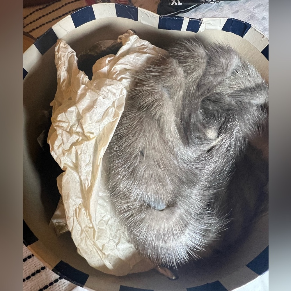Vintage Strawbridge & Clothier Antique Fur Hat Collection Box 13 Mid-Century Hat - Picture 15 of 15